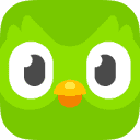 Duolingo Company logo on Dataaxy