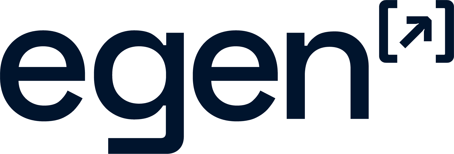 Egen Company logo on Dataaxy