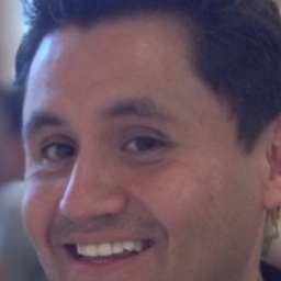 BI Consultant