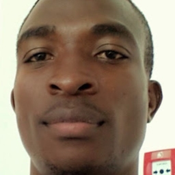 Data analyst